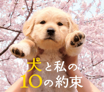 犬 と 私 の セール 10 の 約束 本 ページ 数